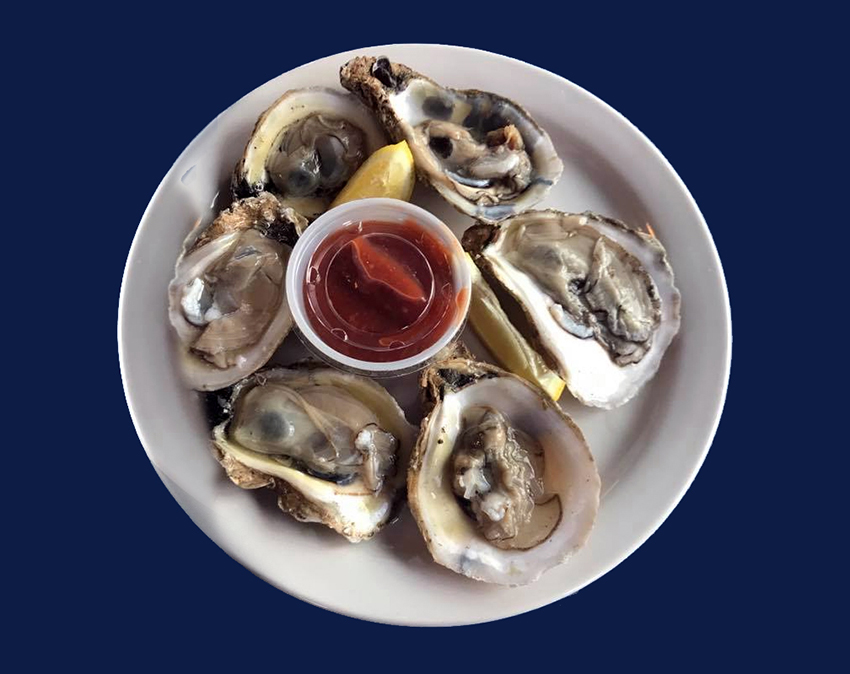 plate of raw oysters and sauce